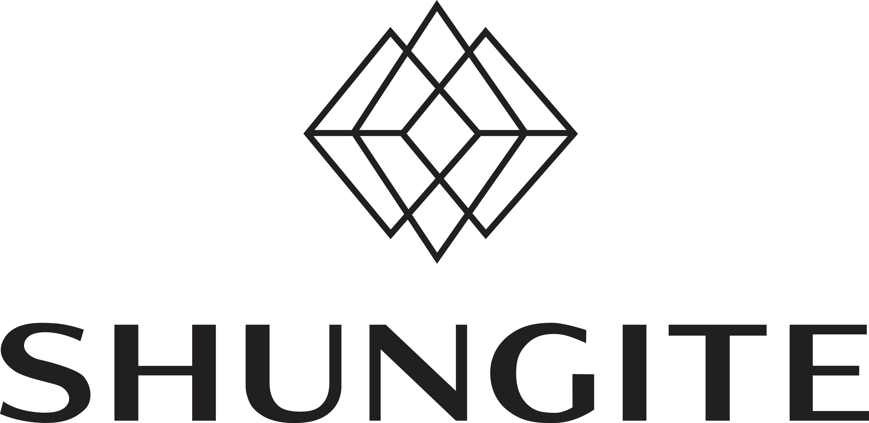 SHUNGITE Logo